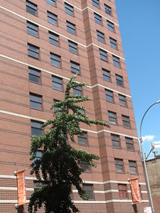 Loeb Hall Loeb Hall