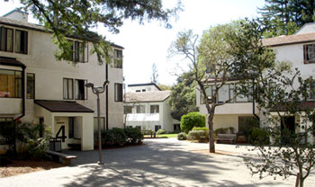 UC - Santa Cruz