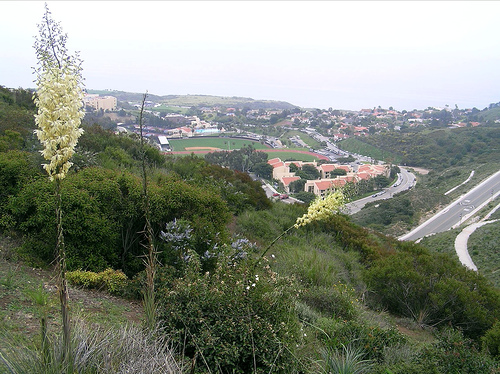 View of Pepperdine University